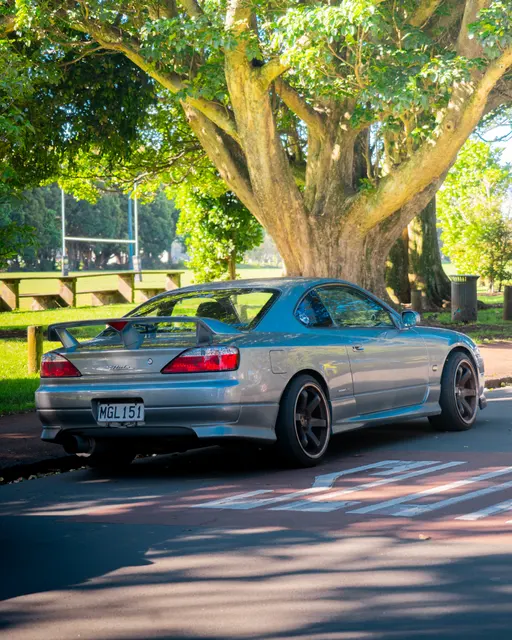 Black performance coupe parked beneath a large roadside tree