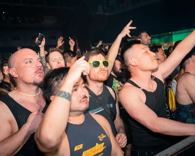 Guests watching a performance from the front barrier
